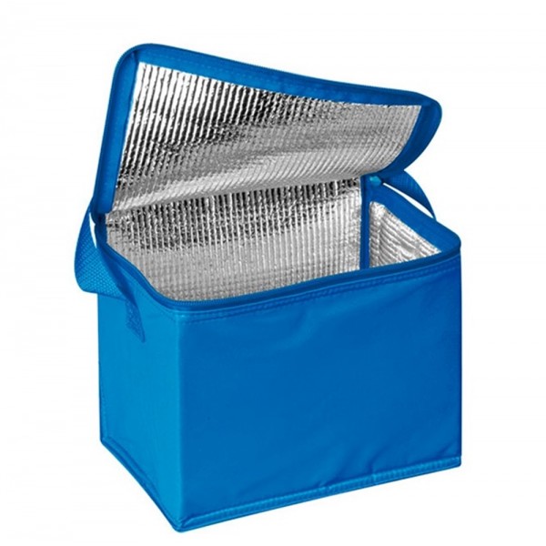 Soğutucu Çanta